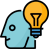 Discussion Of  Idea